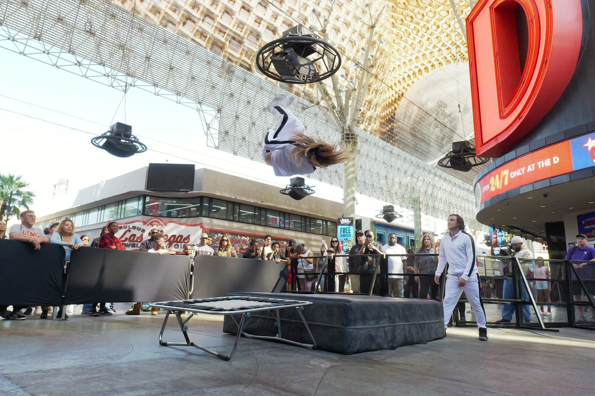 Dunk Show
